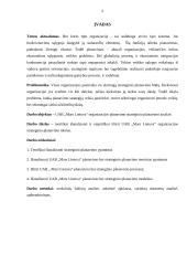 Organizacijos planavimo ypatumų analizė 4 puslapis