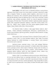 Organizacijos planavimo ypatumų analizė 5 puslapis