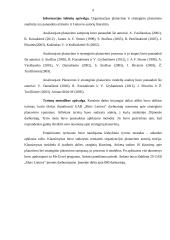 Organizacijos planavimo ypatumų analizė 6 puslapis