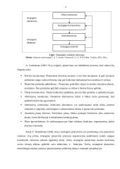 Organizacijos planavimo ypatumų analizė 9 puslapis