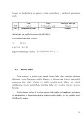 Laiko eilučių analizė 19 puslapis