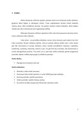 Laiko eilučių analizė 3 puslapis