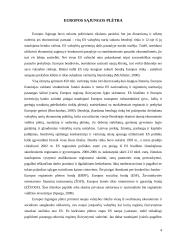 Europos Sąjungos plėtros problemos 4 puslapis