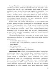 Europos Sąjungos plėtros problemos 8 puslapis