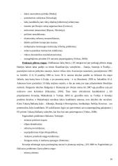 Europos Sąjungos plėtros problemos 10 puslapis