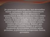 Mokinių fizinis aktyvumas ir sveikata 12 puslapis