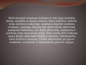 Mokinių fizinis aktyvumas ir sveikata 13 puslapis