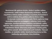 Mokinių fizinis aktyvumas ir sveikata 19 puslapis