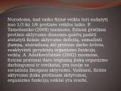 Mokinių fizinis aktyvumas ir sveikata 7 puslapis