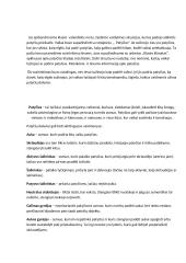 Tėvų susirinkimas. Pedagogo pagalba tėvams 2 puslapis