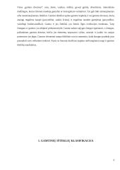 Organinio kuro ištekliai 3 puslapis