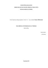 Nelaimingi atsitikimai ir jų tyrimas