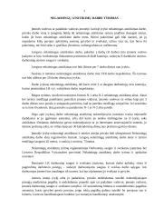 Nelaimingi atsitikimai ir jų tyrimas 7 puslapis