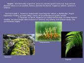 Karalystės skaidrės 6 puslapis