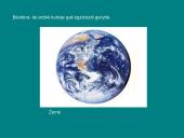 Organizmų ir biosferos struktūra 12 puslapis