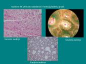 Organizmų ir biosferos struktūra 4 puslapis