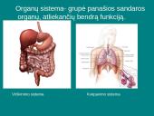 Organizmų ir biosferos struktūra 6 puslapis