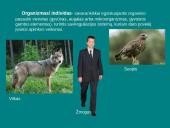 Organizmų ir biosferos struktūra 7 puslapis