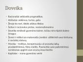 Marius Katiliškis (1914 – 1980) 13 puslapis