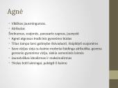 Marius Katiliškis (1914 – 1980) 10 puslapis