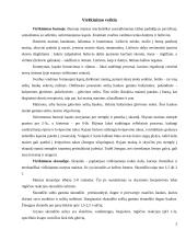 Maisto įtaka virškinimui. Sūris 5 puslapis