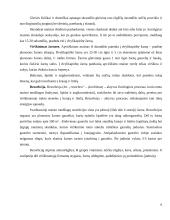 Maisto įtaka virškinimui. Sūris 6 puslapis