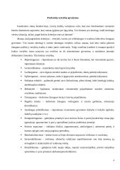 „X“ įmonės etikos kodeksas 4 puslapis