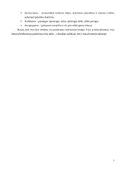 „X“ įmonės etikos kodeksas 5 puslapis