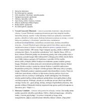 Lietuvių kalbos literatūros autoriai 4 puslapis