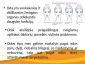4 odos tipai; rekomendacijos; priežiūra 2 puslapis