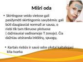 4 odos tipai; rekomendacijos; priežiūra 5 puslapis