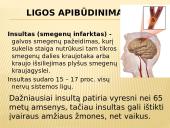 Insultas skaidrės 2 puslapis