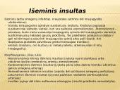Insultas skaidrės 4 puslapis