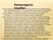 Insultas skaidrės 5 puslapis