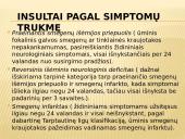 Insultas skaidrės 7 puslapis