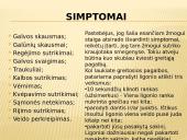 Insultas skaidrės 9 puslapis