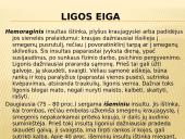 Insultas skaidrės 10 puslapis