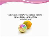 Genetiškai modifikuoti organizmai (GMO) pristatymas 12 puslapis