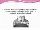 Genetiškai modifikuoti organizmai (GMO) pristatymas 14 puslapis