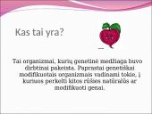 Genetiškai modifikuoti organizmai (GMO) pristatymas 3 puslapis