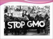 Genetiškai modifikuoti organizmai (GMO) pristatymas 7 puslapis