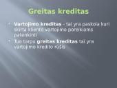 Greitieji kreditai Lietuvoje 3 puslapis