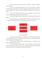 UAB „Saldus miegas“ verslo planas 8 puslapis