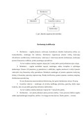 UAB „Saldus miegas“ verslo planas 10 puslapis