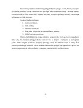 Mokėjimo įstaigos ir elektroninių pinigų įstaigos ir jų veikla Lietuvoje 13 puslapis