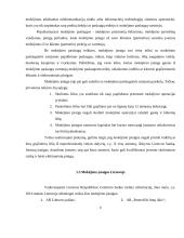 Mokėjimo įstaigos ir elektroninių pinigų įstaigos ir jų veikla Lietuvoje 6 puslapis