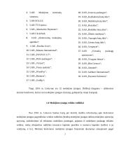 Mokėjimo įstaigos ir elektroninių pinigų įstaigos ir jų veikla Lietuvoje 7 puslapis