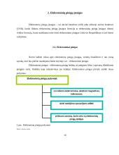 Mokėjimo įstaigos ir elektroninių pinigų įstaigos ir jų veikla Lietuvoje 10 puslapis