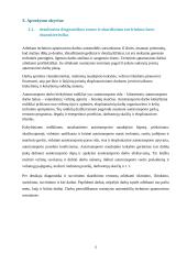 Skardinimo suvirinimo baru kursinis 5 puslapis