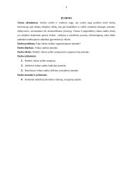 Vidaus audito organizavimas įmonėje 3 puslapis